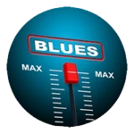 📻 blues radio android application logo